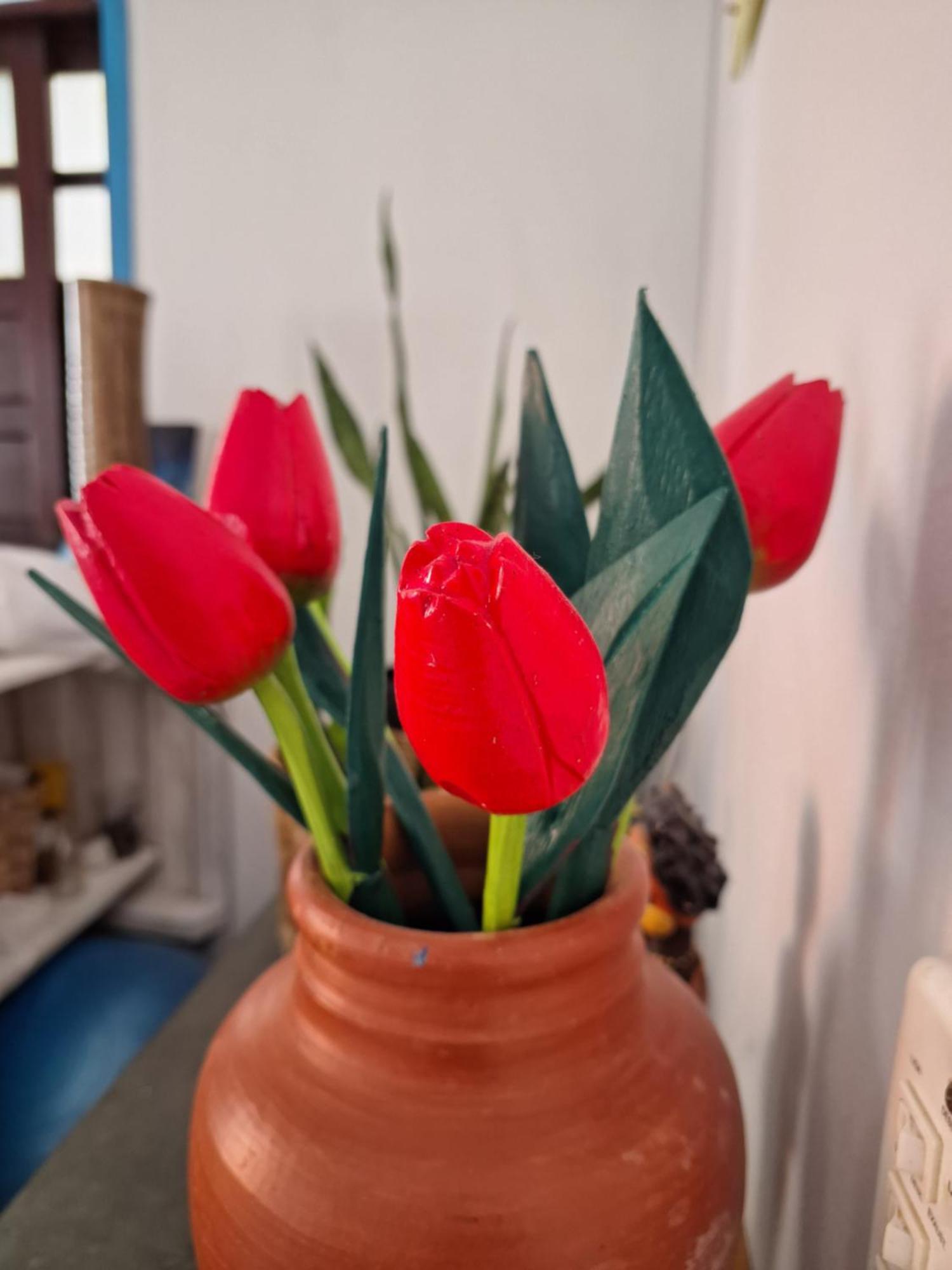 Odoya Casa Hostel 포르투세구로 외부 사진